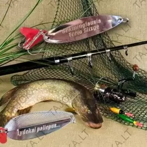 Graviruota blizgė lydekoms