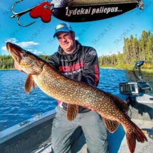 Graviruota blizgė lydekoms