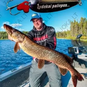 Graviruota blizgė lydekoms