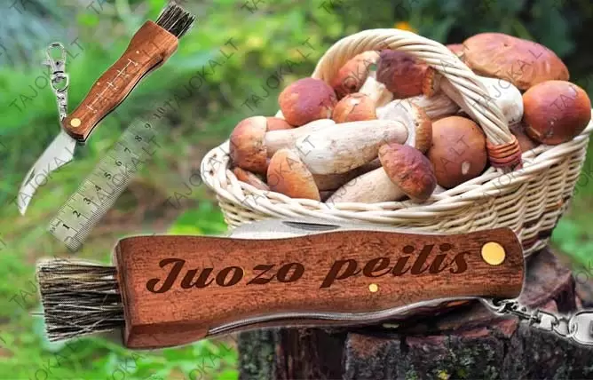 Grybautojų peilis